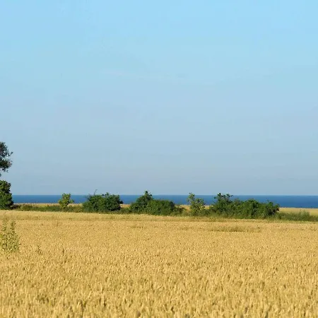 14 Person Holiday In R Sk Bing *