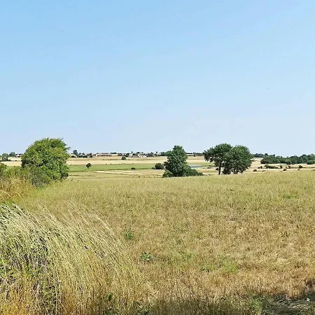 14 Person Holiday In R Sk Bing Ærøskøbing